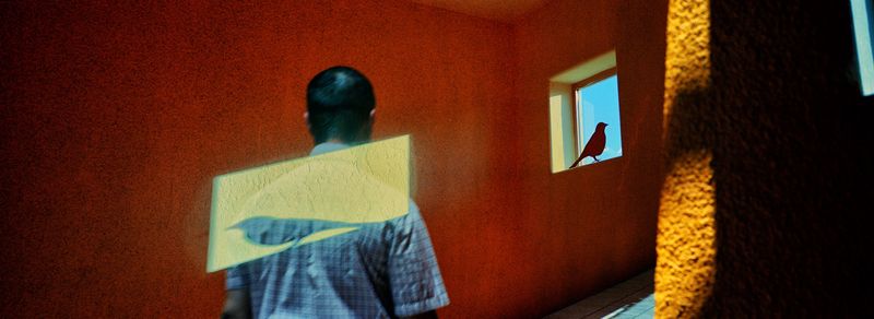 © Wen Hang Lin - Fly to a Place No One Know My Name, In-Camera Double Exposure, Digital C-Print, 55" x 20", Edition 1 of 5
