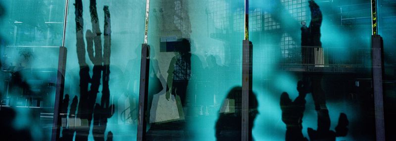 © Wen Hang Lin - Green Illusion of the Trees, In-Camera Double Exposure, Digital C-Print, 55" x 20", Edition 1 of 5