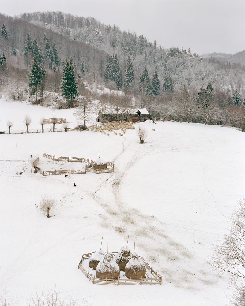 © Nicholas J.R. White - Smallholding on the road between Podu Dambovitei and Rucar. [January, 2018]