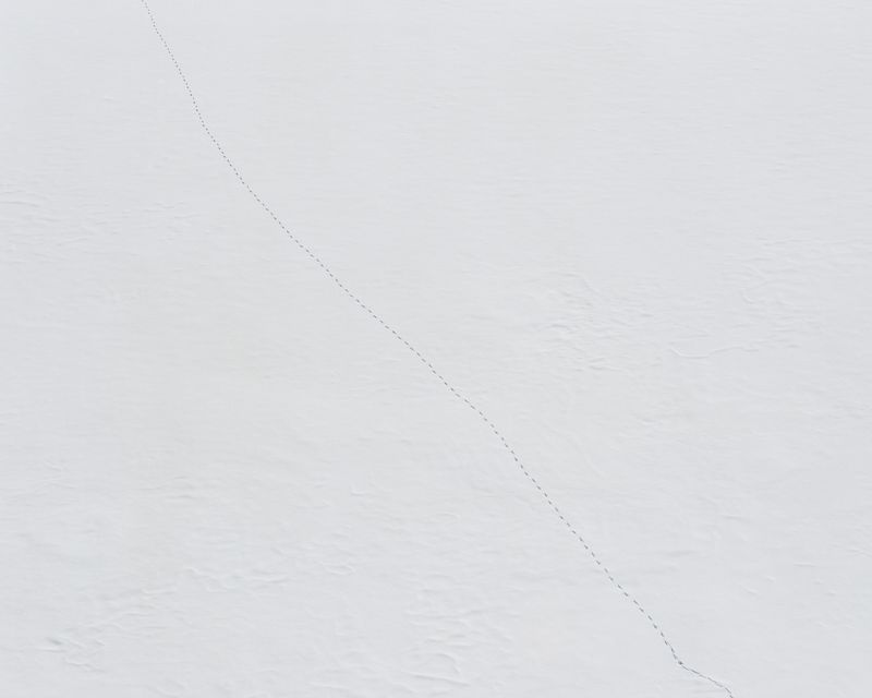 © Nicholas J.R. White - Animal tracks on a frozen Pecineagu Lake, Izvorul Dambovitei Hunting Area. [January, 2018]