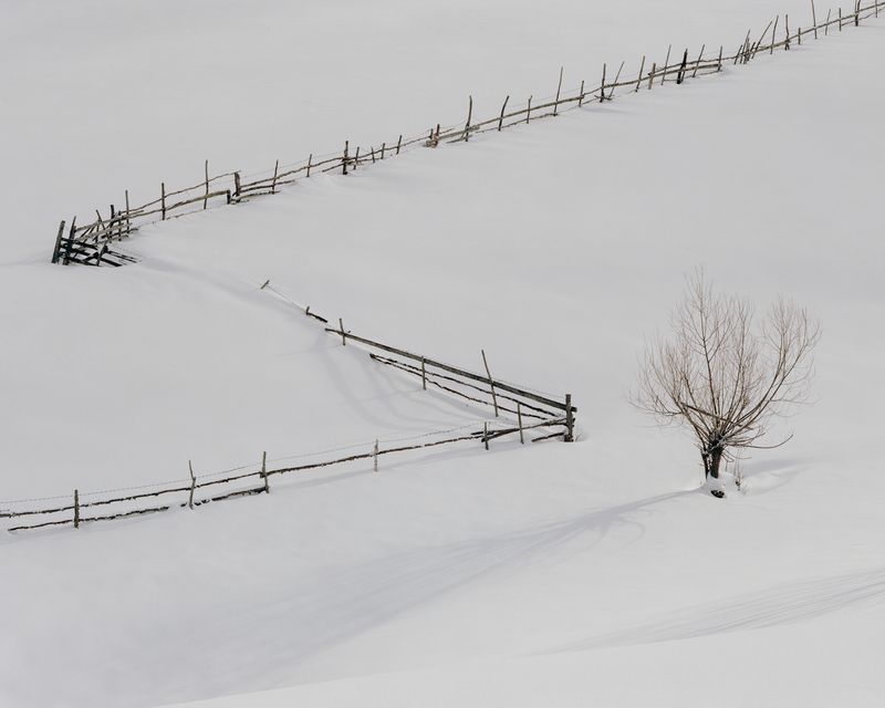 © Nicholas J.R. White - Farmland perimeter in Ciocanu Village. [January, 2018]