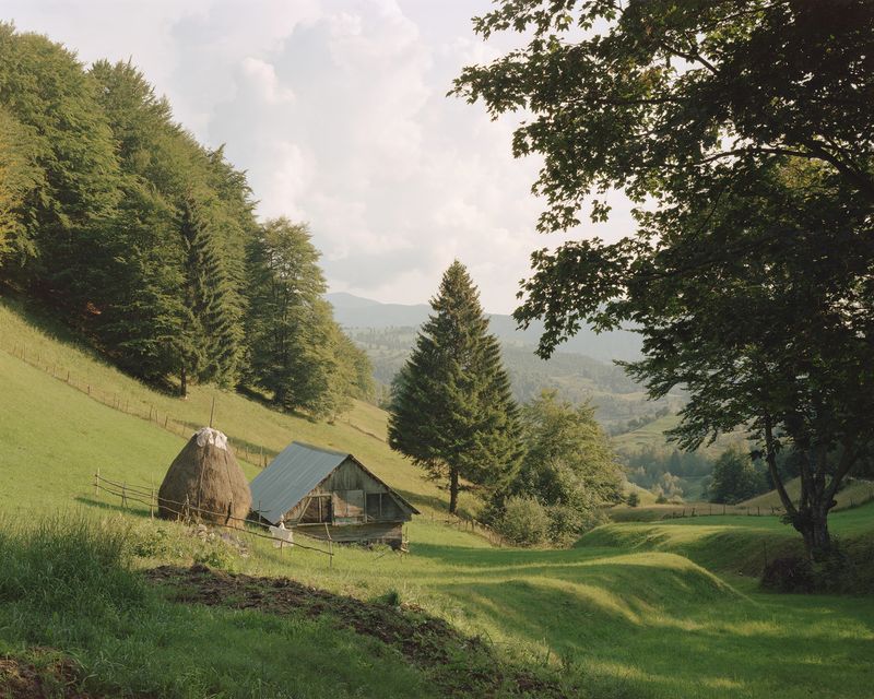© Nicholas J.R. White - The outskirts of Ciocanu Village, in the Dambovicioara Hunting Area [August, 2018]