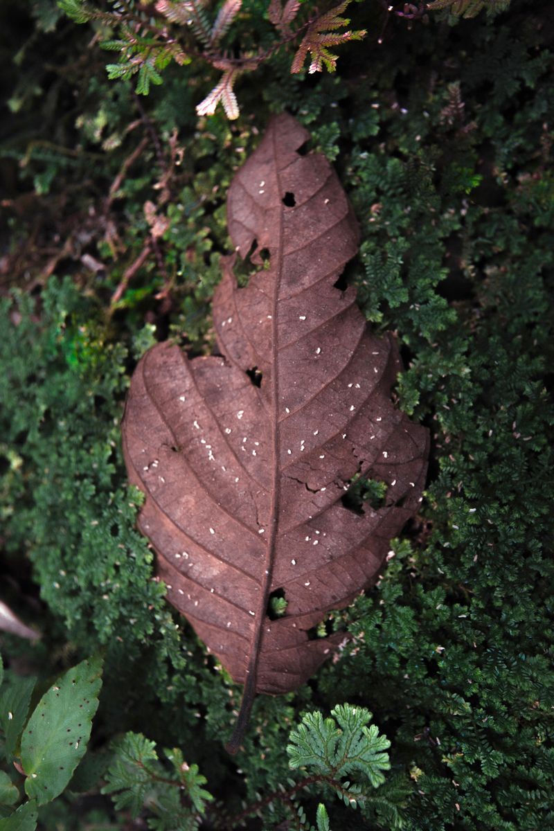 © Lucero Alomía - Image from the La Otra Orilla photography project