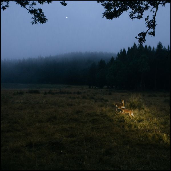 © Lucero Alomía - Image from the La Otra Orilla photography project