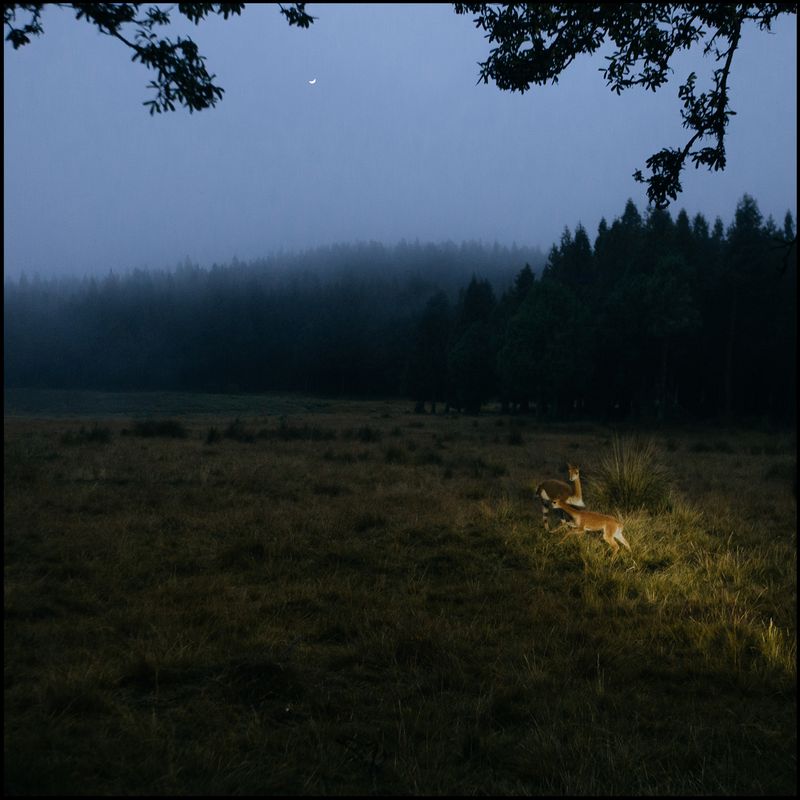 © Lucero Alomía - Image from the La Otra Orilla photography project