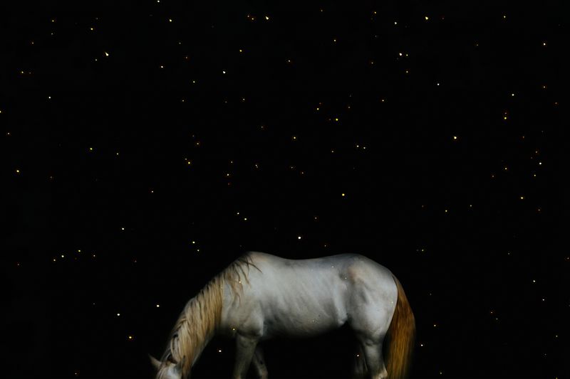 © Lucero Alomía - Image from the La Otra Orilla photography project