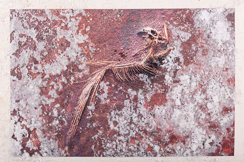 © Mehrdad Vahed - Rephotography from printed photo that took in Sharafkhaneh Port, Feb 2019