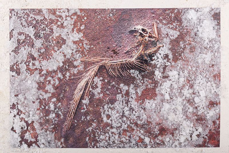 © Mehrdad Vahed - Rephotography from printed photo that took in Sharafkhaneh Port, Feb 2019