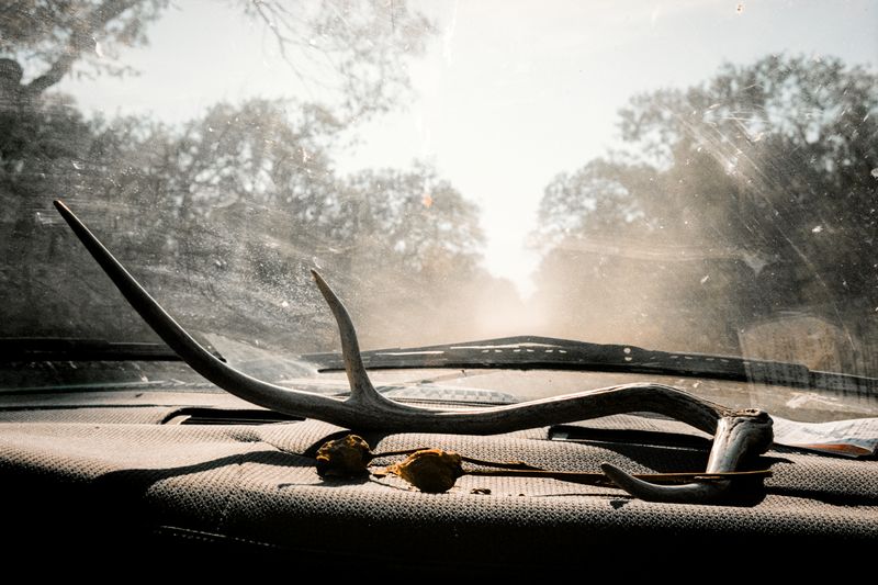 © Alex Bex - Western still life, Big Foot, Texas, 2024.