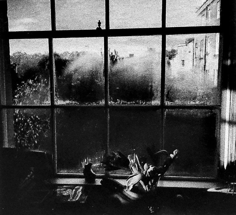 © Sveta Kaverina - Image from the Fly in Amber photography project