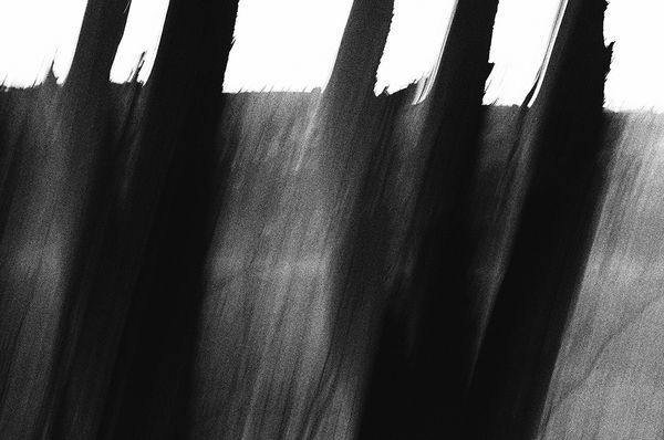 © Sveta Kaverina - Image from the Fly in Amber photography project