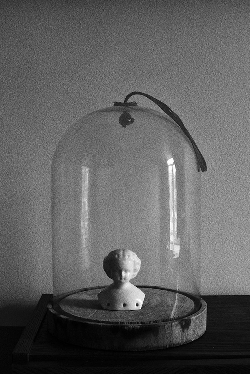 © Sveta Kaverina - Image from the Fly in Amber photography project