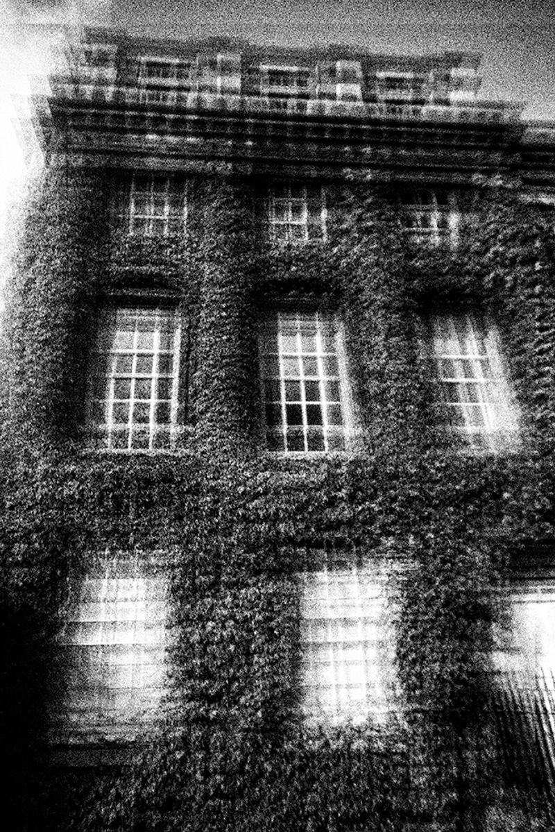 © Sveta Kaverina - Image from the Fly in Amber photography project