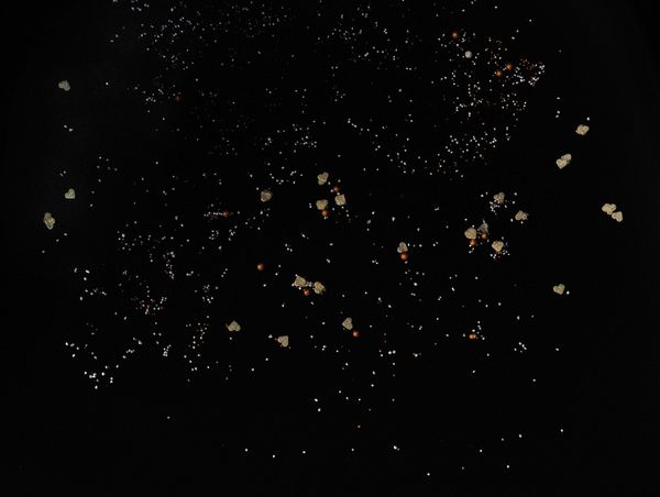 © Sveta Kaverina - Image from the Expansion of the Universe photography project