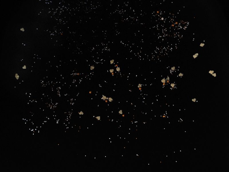 © Sveta Kaverina - Image from the Expansion of the Universe photography project