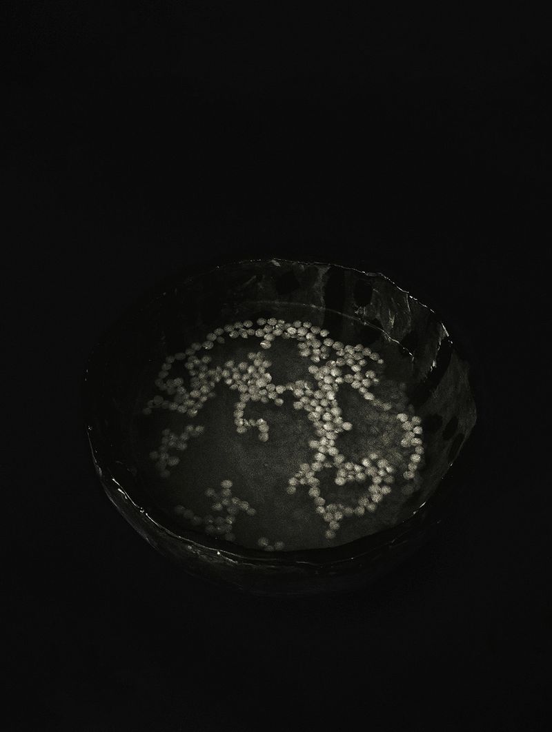 © Sveta Kaverina - Image from the Expansion of the Universe photography project