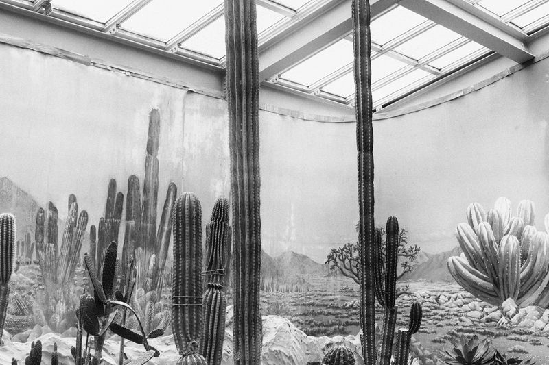 © Sveta Kaverina - Image from the The Three of Us photography project