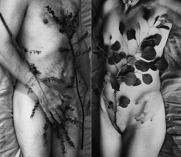 © Sveta Kaverina - Image from the The Garden of Earthly Delights photography project