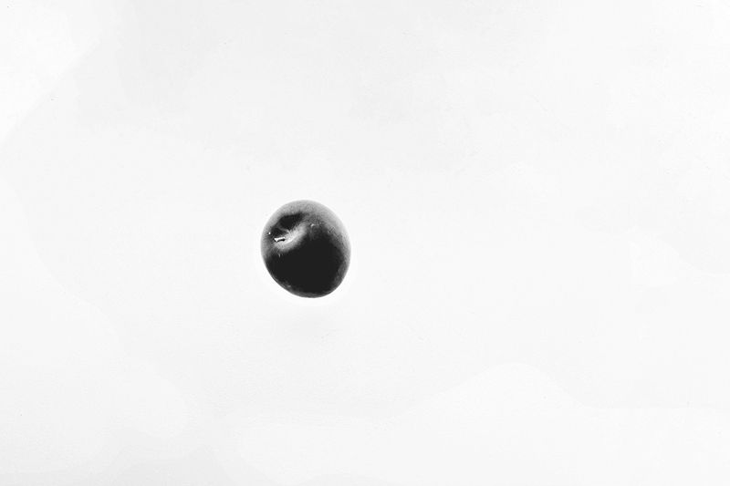 © Sveta Kaverina - Image from the The Garden of Earthly Delights photography project