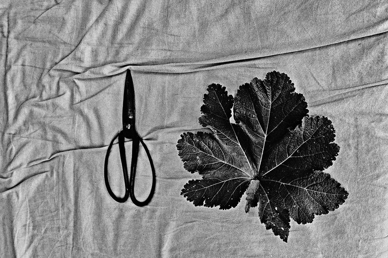 © Sveta Kaverina - Image from the The Garden of Earthly Delights photography project