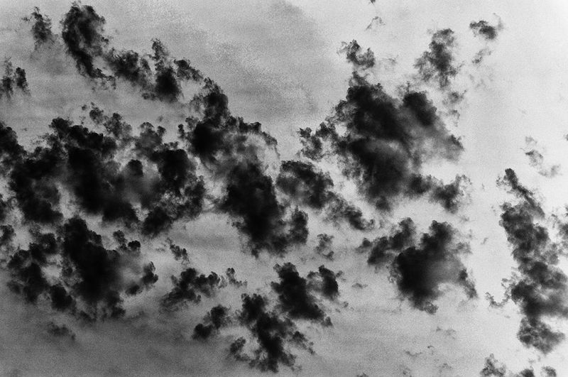 © Sveta Kaverina - Image from the The Garden of Earthly Delights photography project