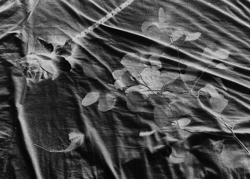 © Sveta Kaverina - Image from the The Garden of Earthly Delights photography project