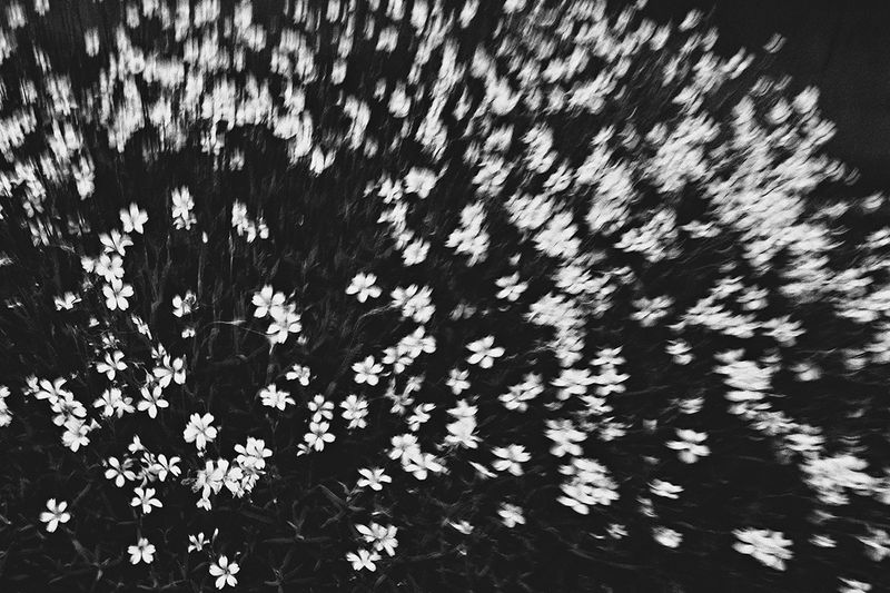 © Sveta Kaverina - Image from the The Garden of Earthly Delights photography project