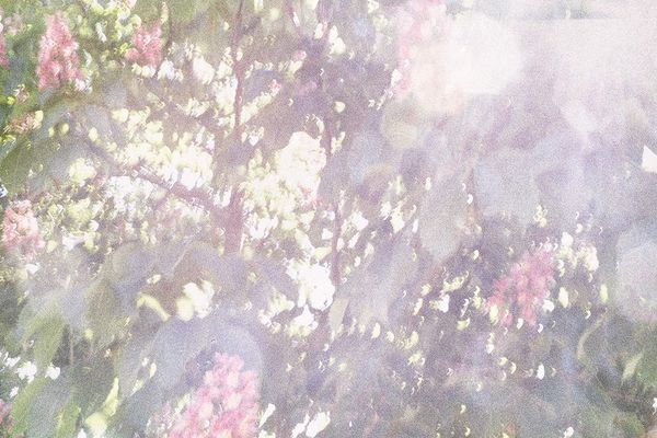 © Sveta Kaverina - Image from the The Garden of Earthly Delights photography project