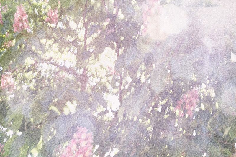 © Sveta Kaverina - Image from the The Garden of Earthly Delights photography project