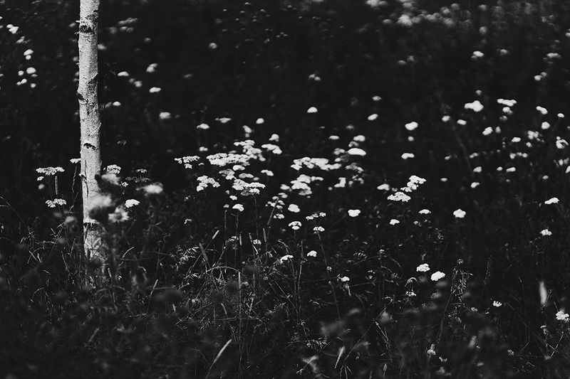 © Sveta Kaverina - Image from the The Garden of Earthly Delights photography project