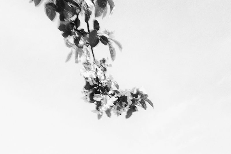 © Sveta Kaverina - Image from the The Garden of Earthly Delights photography project