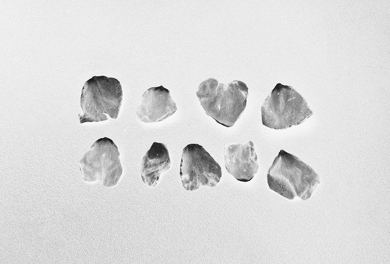 © Sveta Kaverina - Image from the The Garden of Earthly Delights photography project