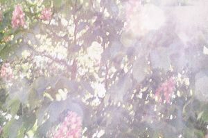 The Garden of Earthly Delights