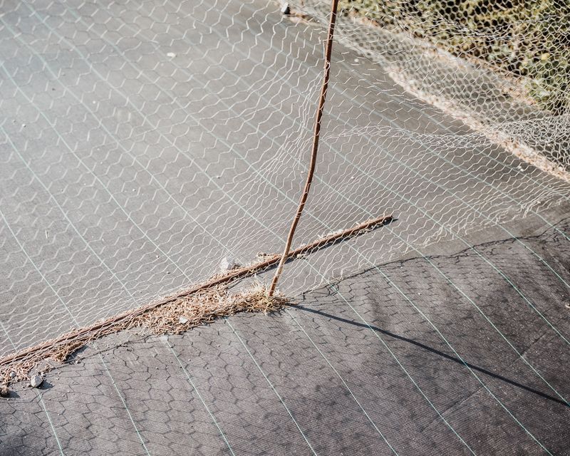 © Paweł Jaśkiewicz - Image from the Zenith photography project