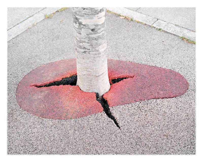 © Paweł Jaśkiewicz - Image from the Zenith photography project