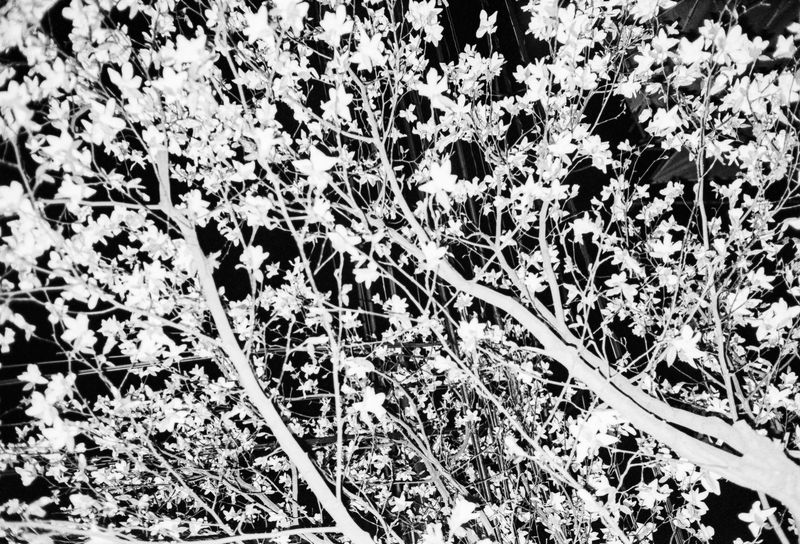 © Paweł Jaśkiewicz - Image from the TOKYO photography project