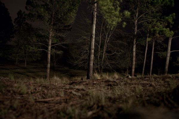 © Florencia Trincheri - Image from the hidden photography project