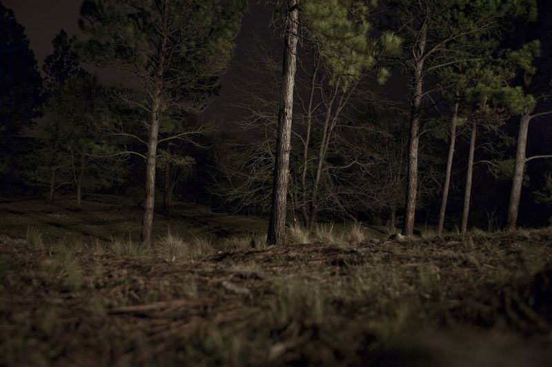 © Florencia Trincheri - Image from the hidden photography project