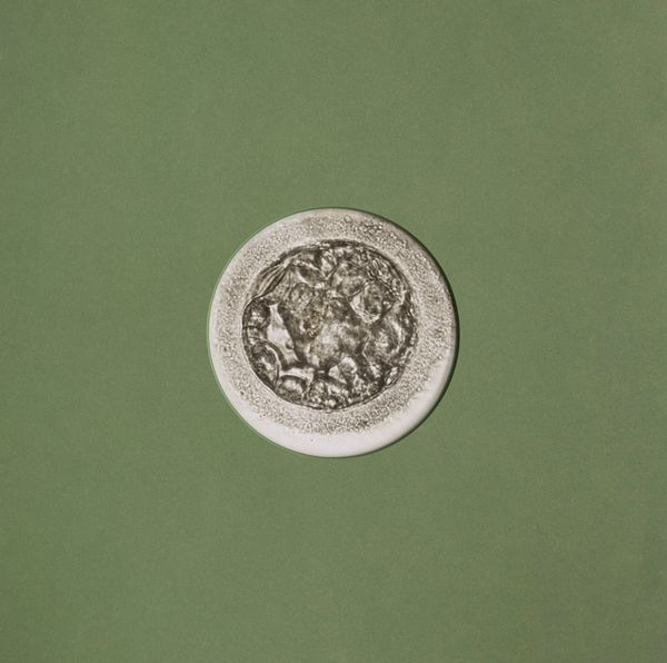 © Rachel Cox - Image from the Exercises in Control: Chapter I – An End and a Beginning photography project