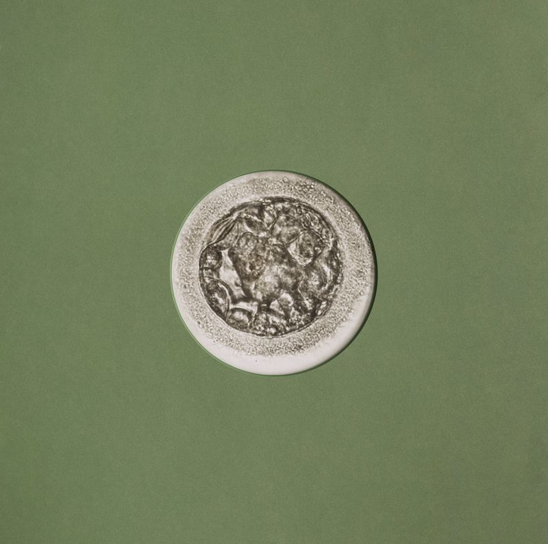 © Rachel Cox - Image from the Exercises in Control: Chapter I – An End and a Beginning photography project