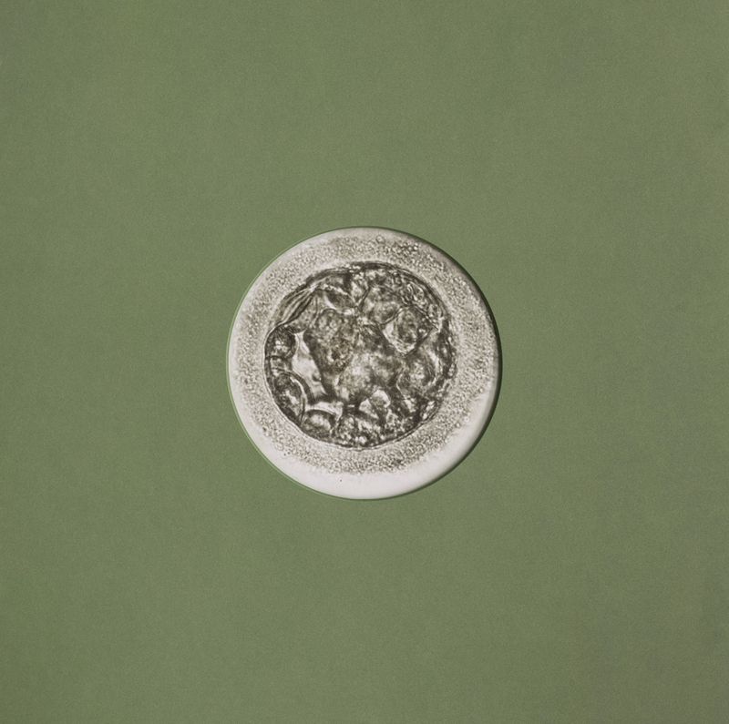 © Rachel Cox - Image from the Exercises in Control: Chapter I – An End and a Beginning photography project