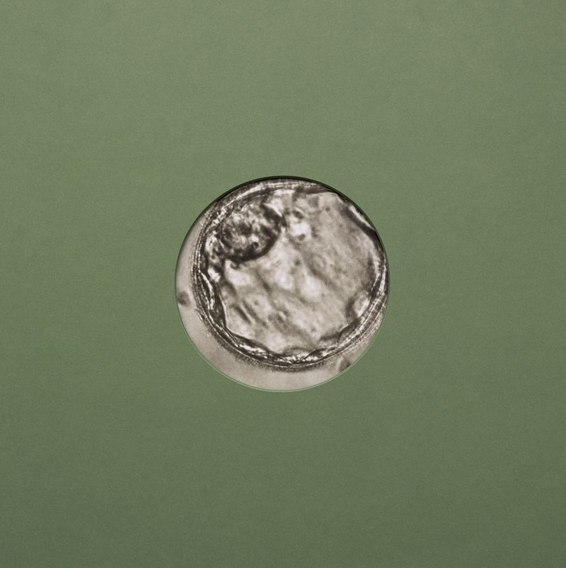 © Rachel Cox - Image from the Exercises in Control: Chapter I – An End and a Beginning photography project