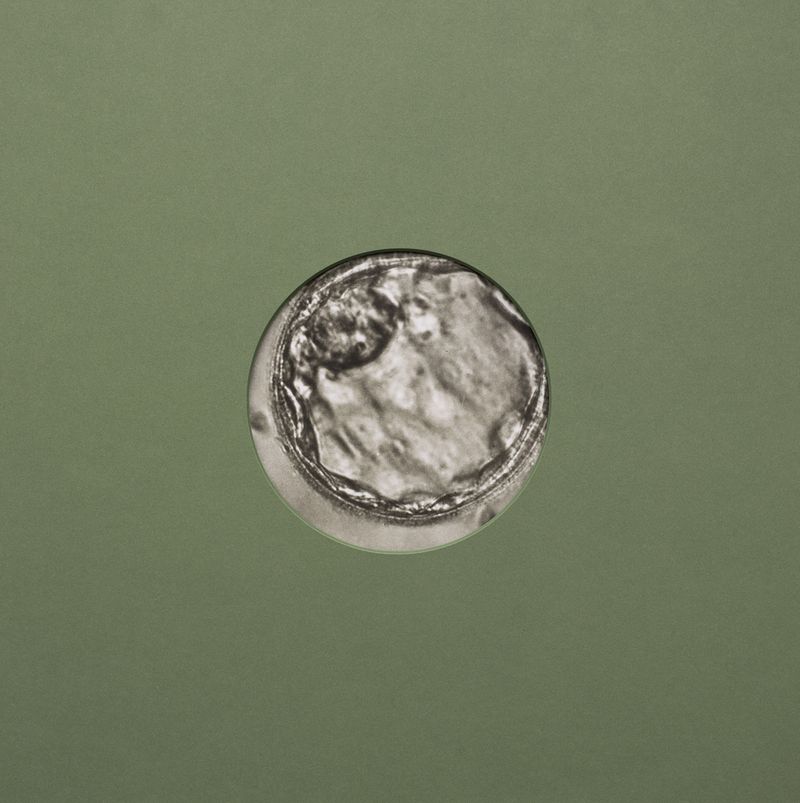 © Rachel Cox - Image from the Exercises in Control: Chapter I – An End and a Beginning photography project