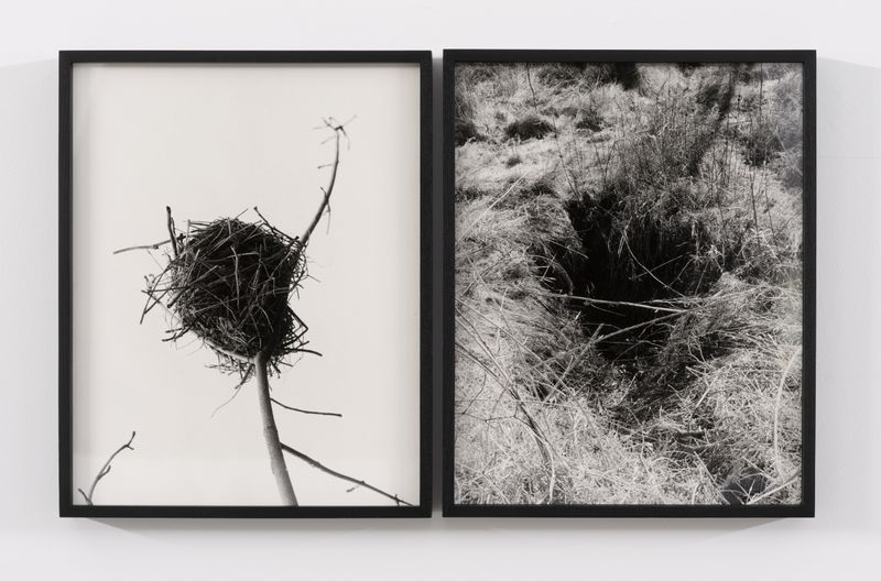 © Rachel Cox - Image from the Portrait of a Woman photography project