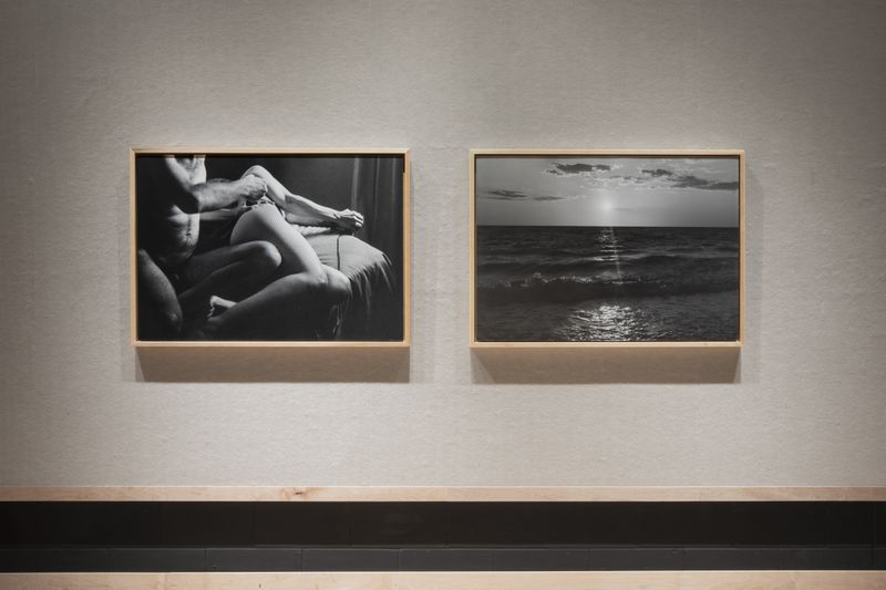 © Rachel Cox - Installation example, solo exhibition: Notes on Care, Augustana University
