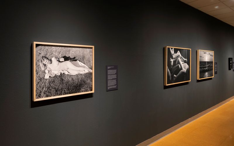 © Rachel Cox - Installation example, solo exhibition: Notes on Care, University of New Mexico Art Museum