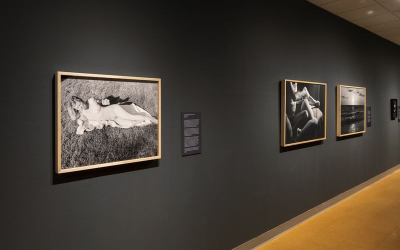 © Rachel Cox - Installation example, solo exhibition: Notes on Care, University of New Mexico Art Museum