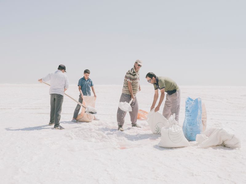 © Maximilian Mann - Image from the Fading Flamingos photography project