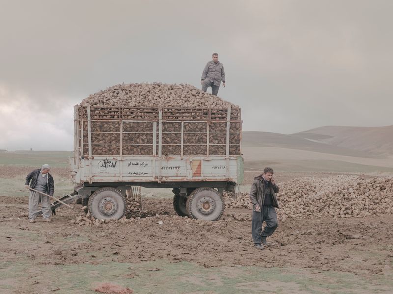 © Maximilian Mann - Image from the Fading Flamingos photography project