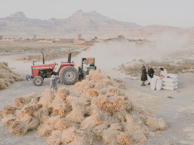 © Maximilian Mann - Image from the Fading Flamingos photography project